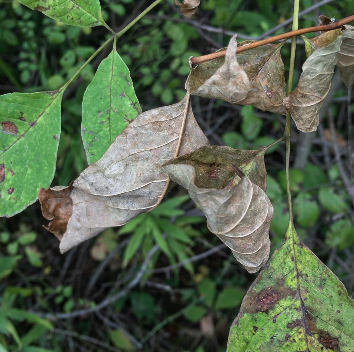 Carousel Image number 2